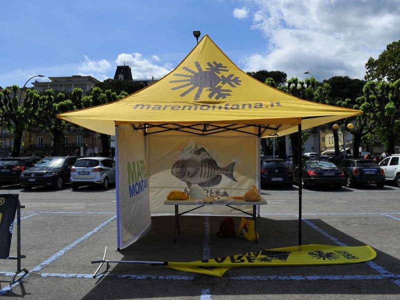 Palazzo e contorno (Mottyno 2021) 1