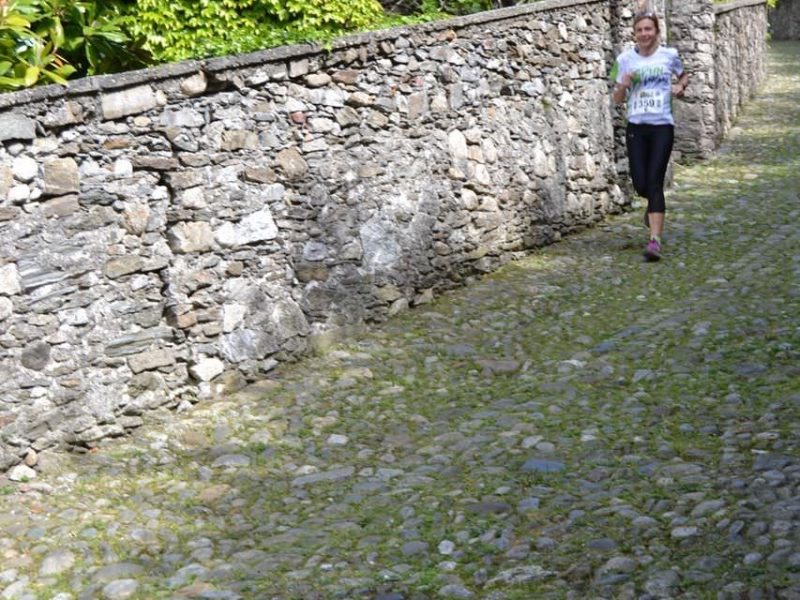 Sul percorso (Mottyno 2021) 1