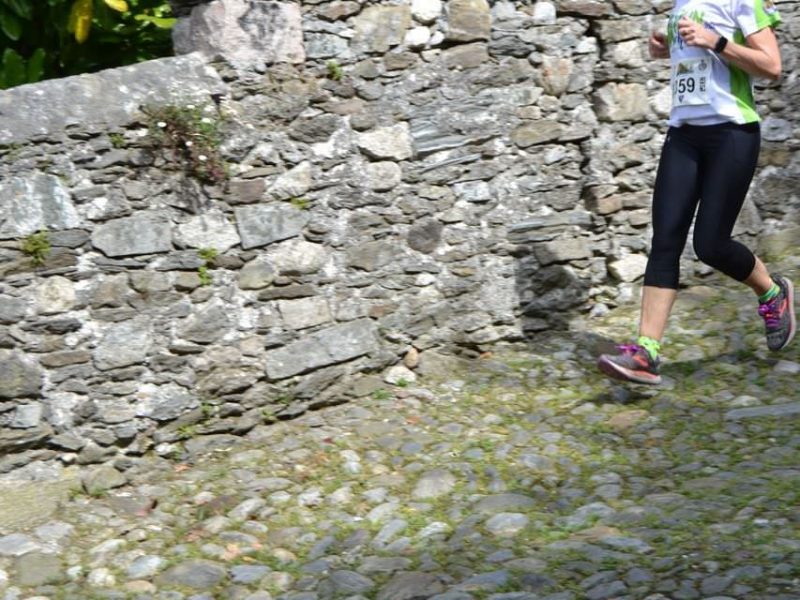 Sul percorso (Mottyno 2021) 1